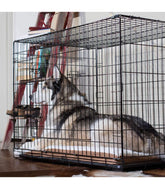 Cusca pliabila pentru transport caini XXL, model “Colosso”